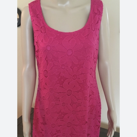 Tiana B got pink daisy lace sleeveless dress large NWT *AH - Picture 3 of 8